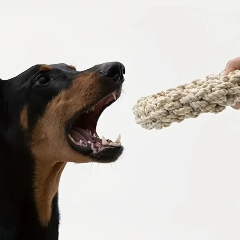 ToughTug: Durable Rope Toy for Large Breeds