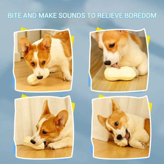 NuttyFun: Interactive Squeaky Peanut Toy