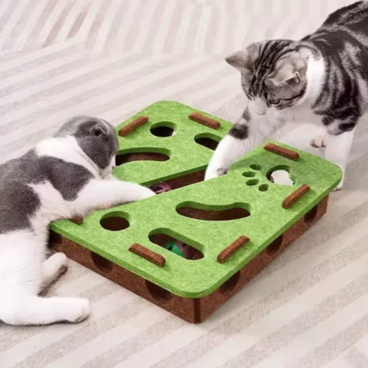 BrainyBox: Interactive Felt Maze for Cats