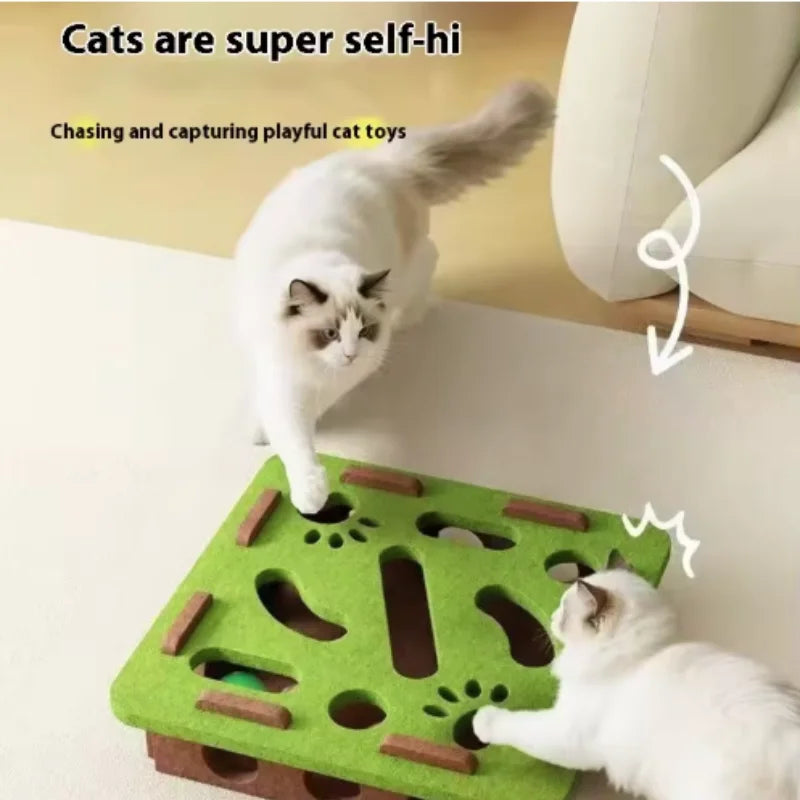 BrainyBox: Interactive Felt Maze for Cats