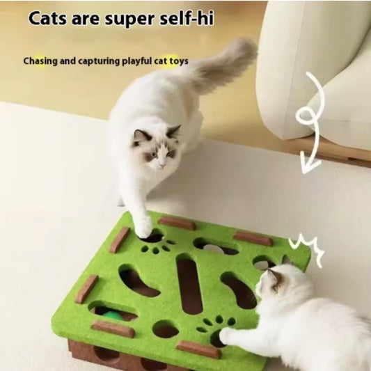 BrainyBox: Interactive Felt Maze for Cats