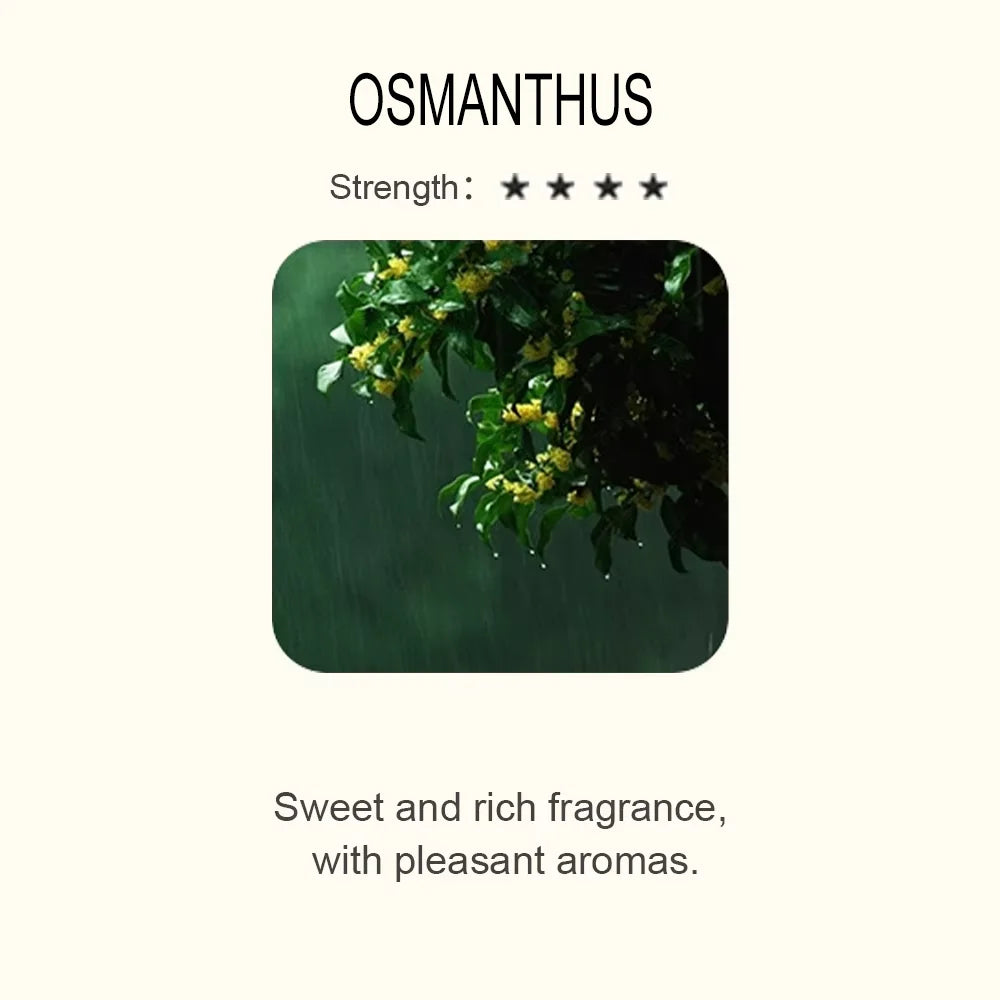 Essential Oil Blend for Diffuser – Natural Aromatherapy Fragrance (500ml)