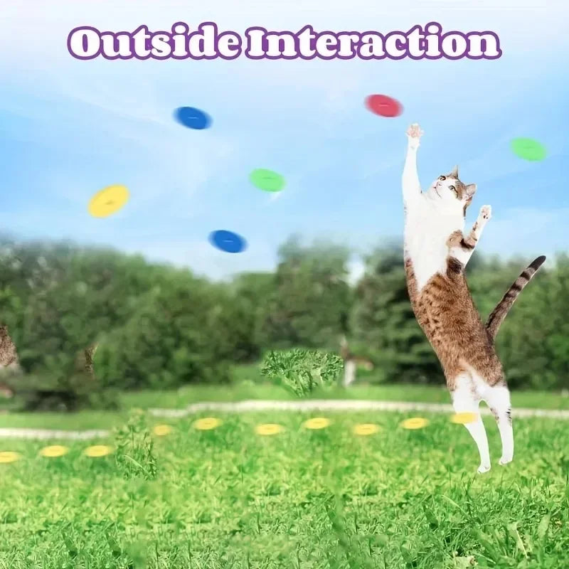 TurnipShooter: Interactive Cat & Dog Disc Launcher