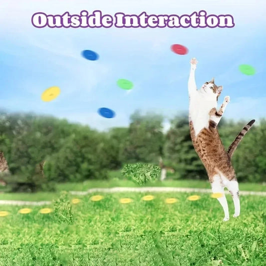 TurnipShooter: Interactive Cat & Dog Disc Launcher
