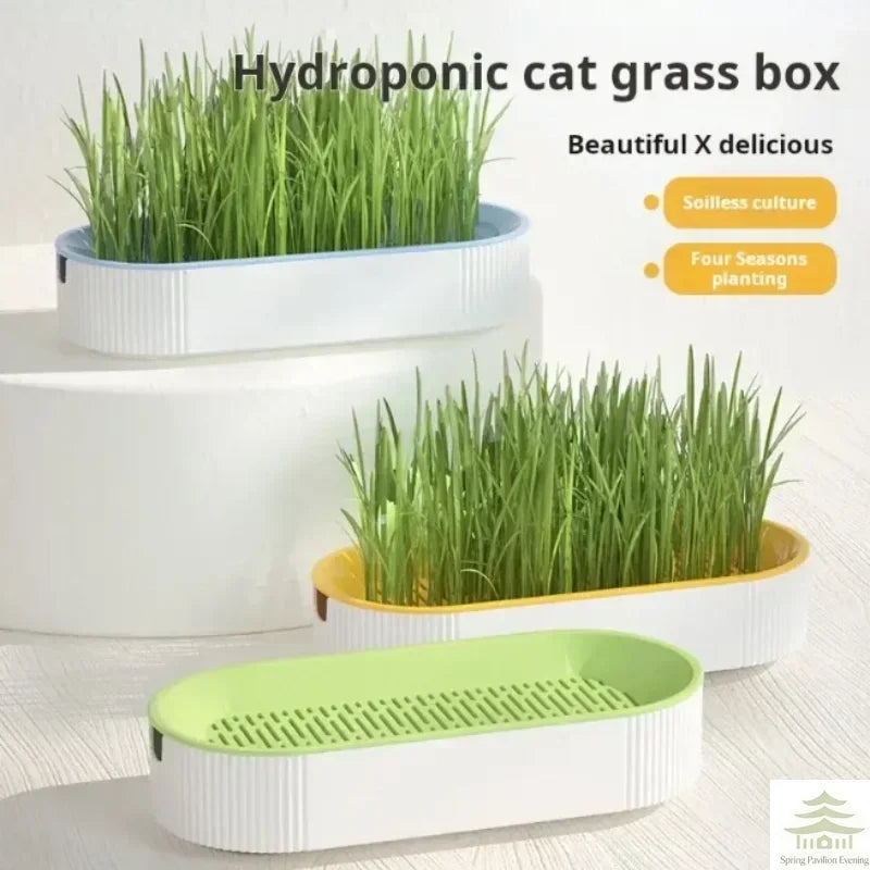 SteadyFeed: Durable Double Bowl for Food & Water
