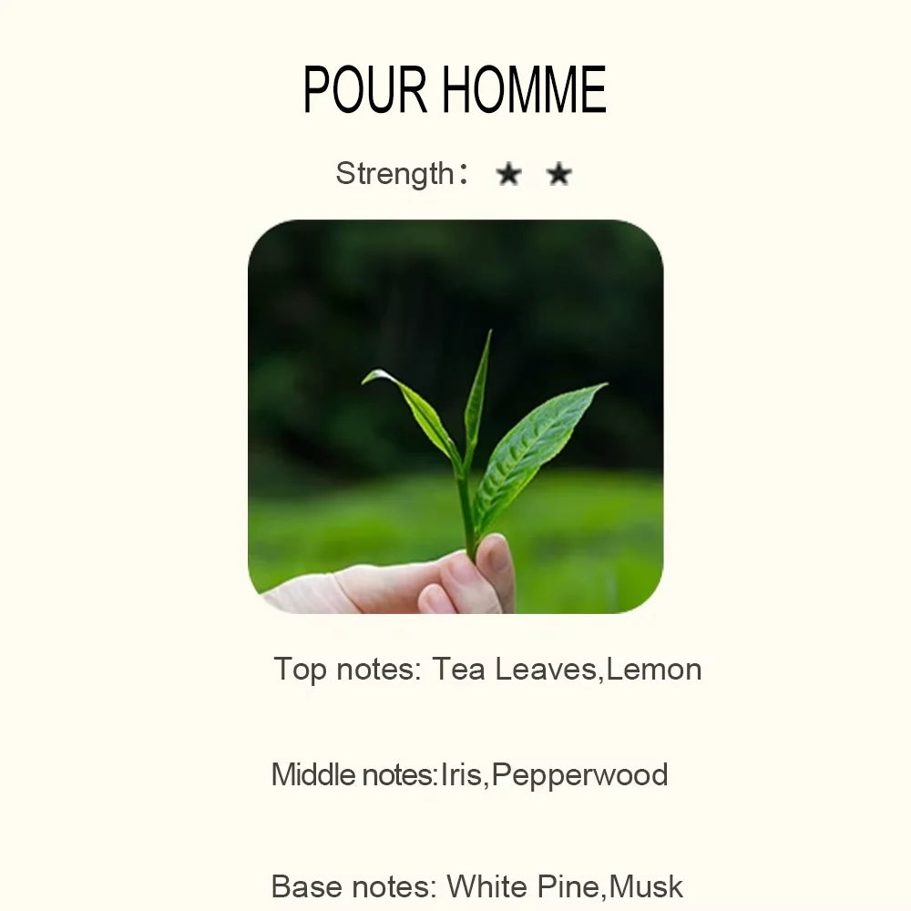 Essential Oil Blend for Diffuser – Natural Aromatherapy Fragrance (500ml)