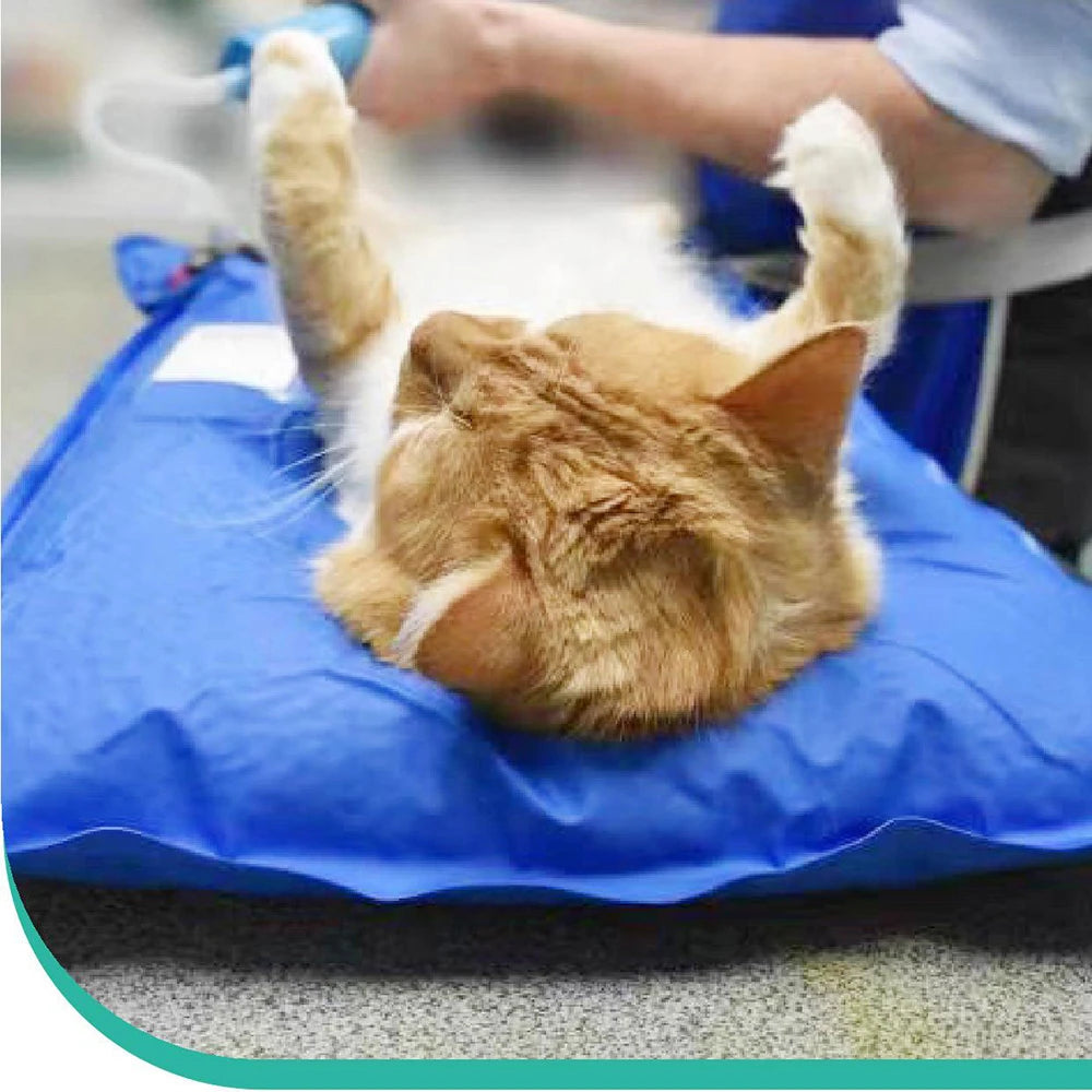 VetSecure: Professional Vacuum Positioning Pad