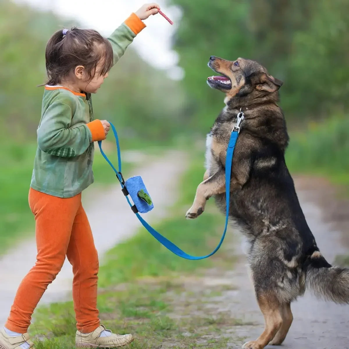 WalkEasy: Portable Poop Bag Dispenser