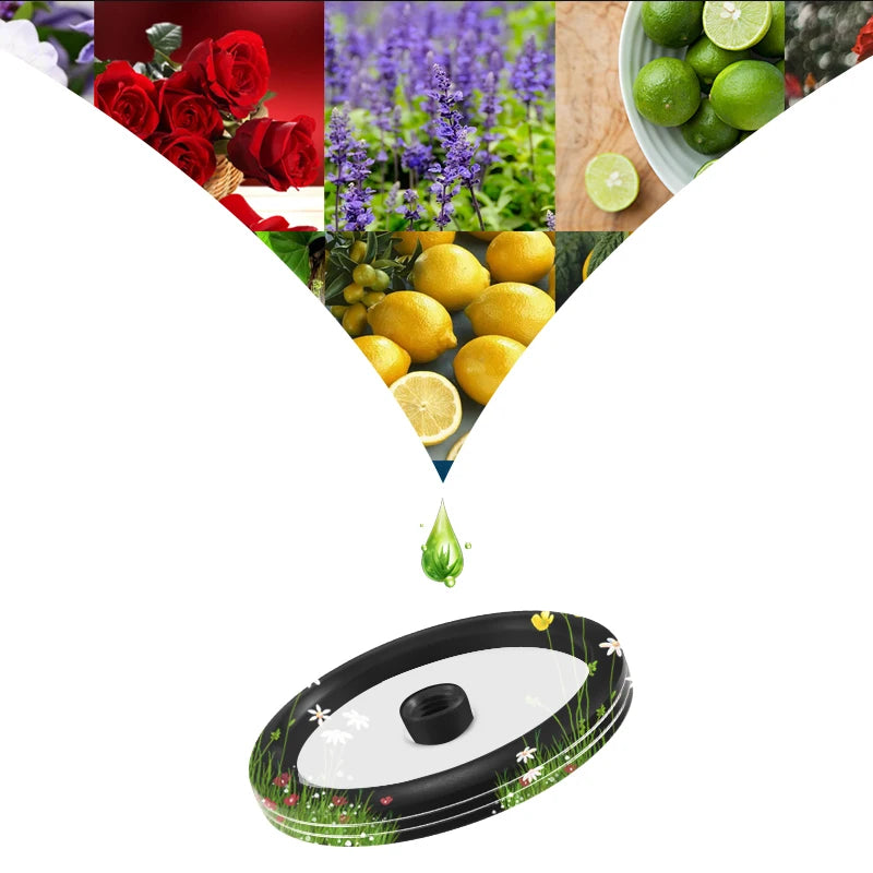 DS Spirit Car Solid Perfume – High-Grade Aromatherapy Car Decoration