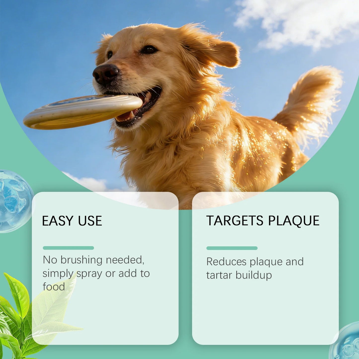 OralGuard: Plaque Control & Fresh Breath Spray