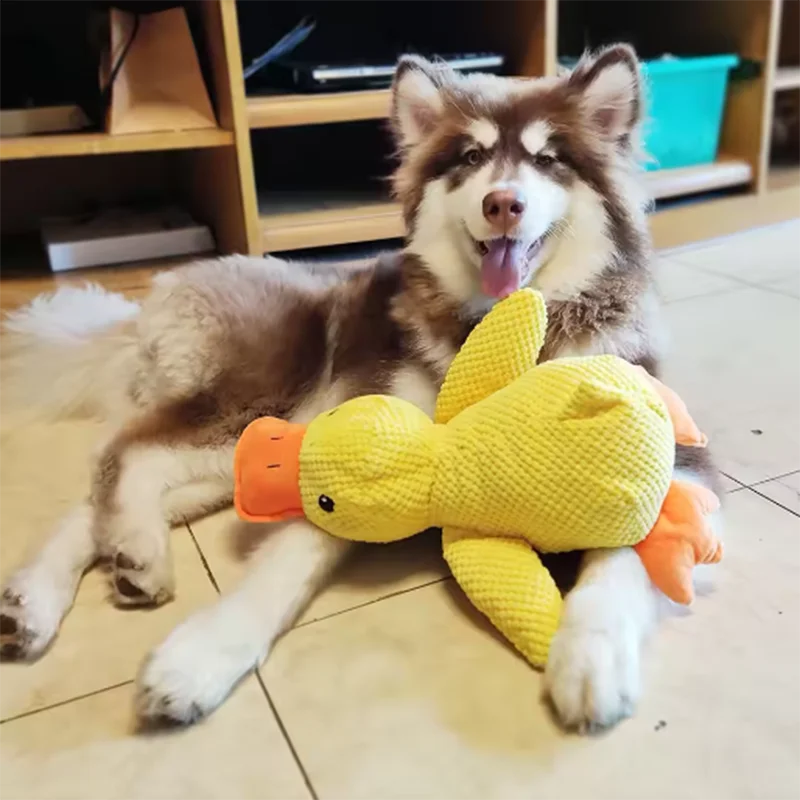 DuckieBuddy: Soft Plush Comfort Toy for Pets