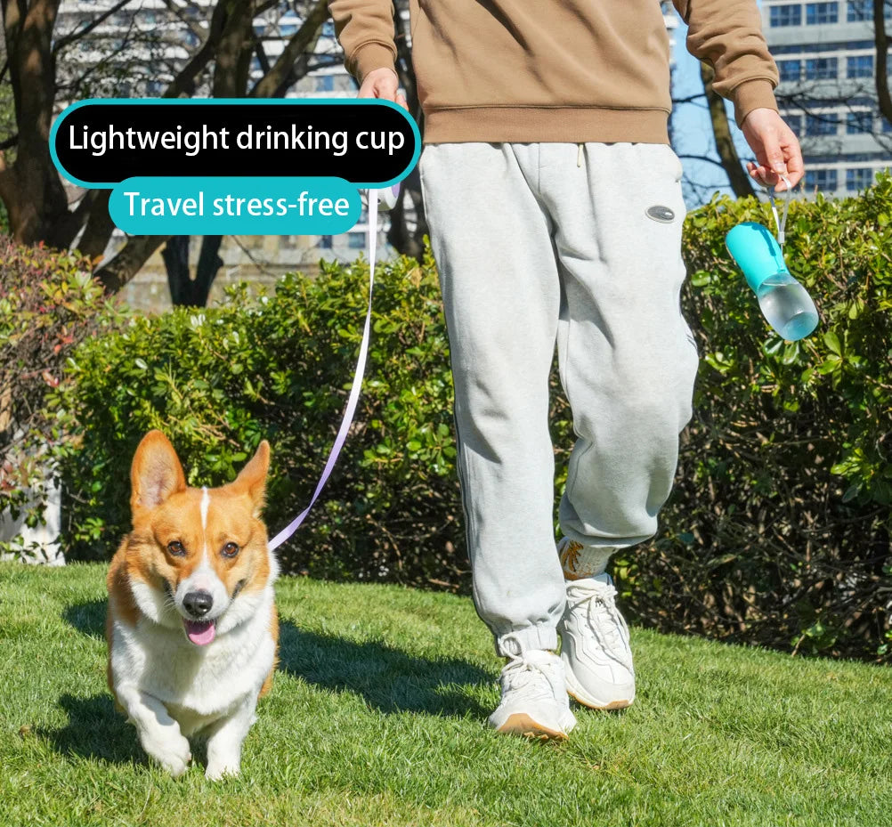 PetSip: Compact Outdoor Water Dispenser (300ml)