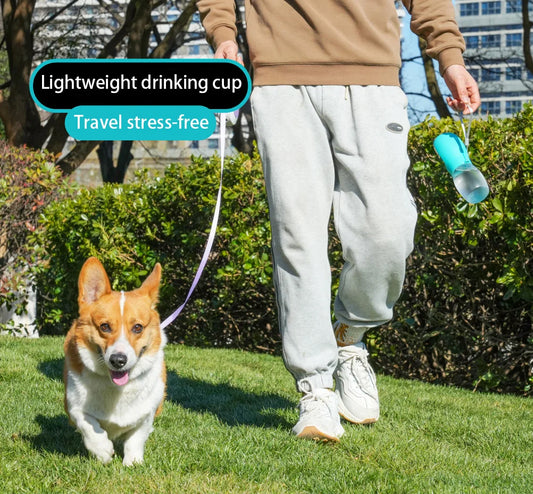 PetSip: Compact Outdoor Water Dispenser (300ml)