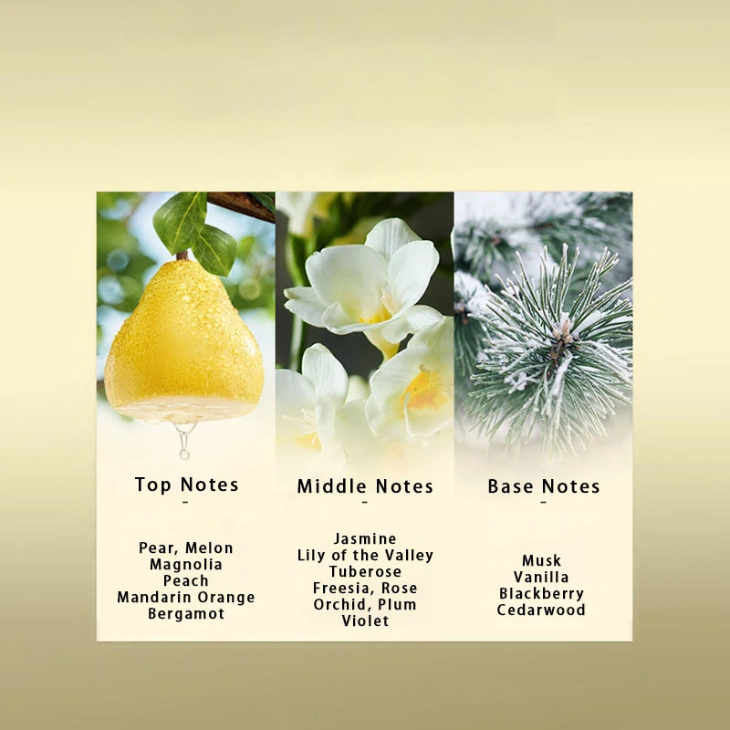 French Unisex Eau de Toilette – Vanilla Jasmine Floral Fragrance (30ml)