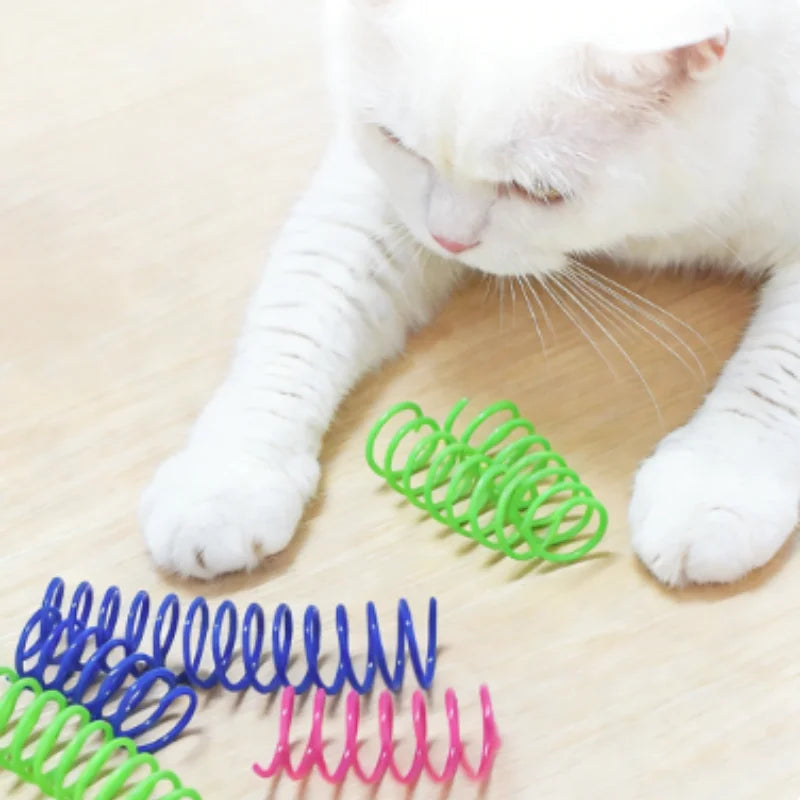 SpringyJump: Colorful Interactive Cat Springs