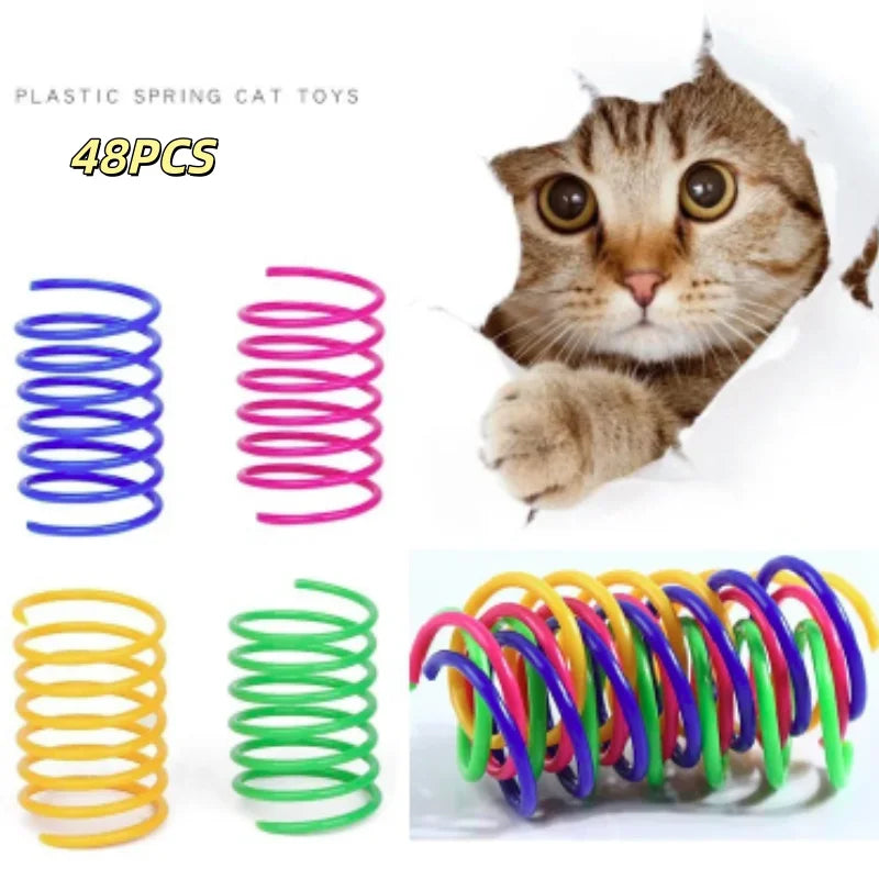 SpringyJump: Colorful Interactive Cat Springs