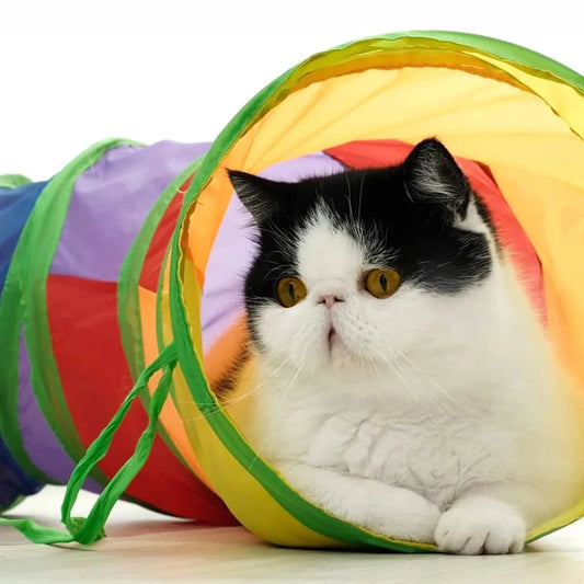 AdventureTube: Interactive Play & Training Tunnel