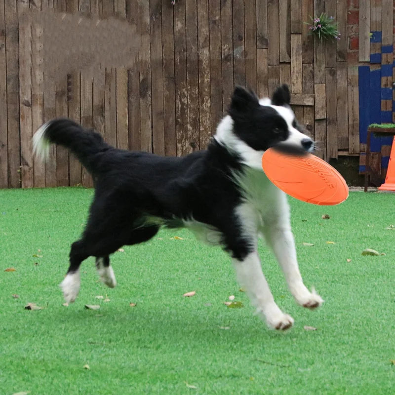 FlyFlex: Durable Silicone Flying Disc for Pets