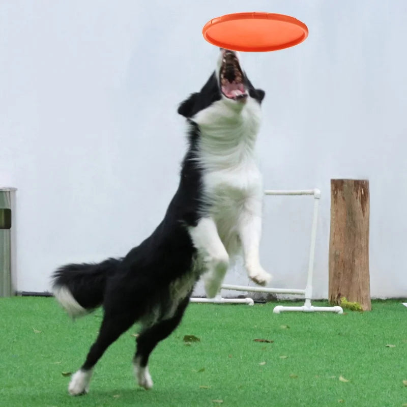 FlyFlex: Durable Silicone Flying Disc for Pets
