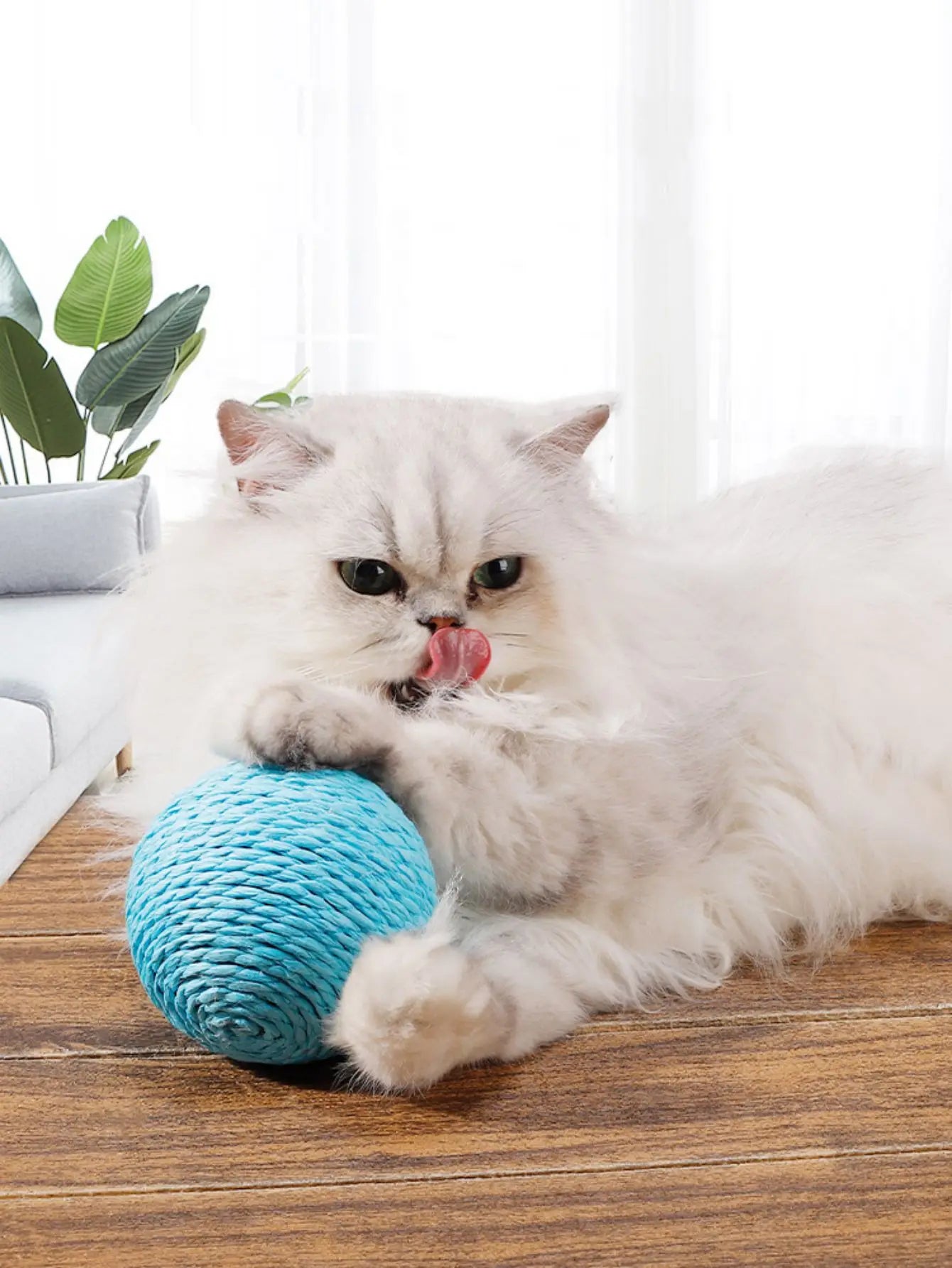 PurrfectClaw: Natural Sisal Scratch & Clean Toy