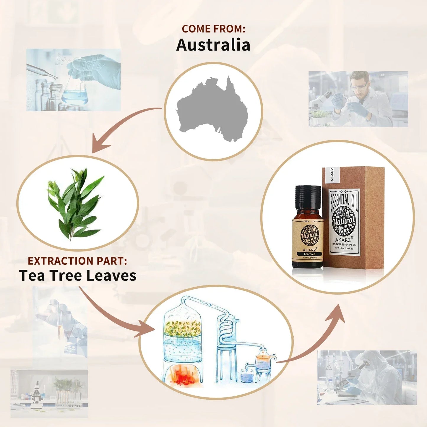 AKARZ Rosemary Essential Oil – Natural Aromatherapy & Hair Care Oil