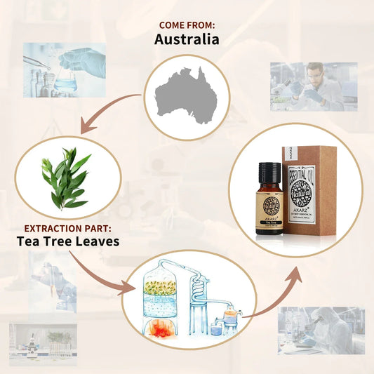 AKARZ Rosemary Essential Oil – Natural Aromatherapy & Hair Care Oil