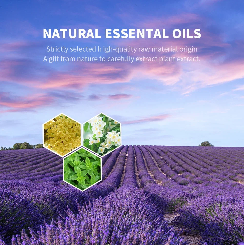 NAMSTE 500ml Aromatic Fragrance Oil – Home Diffuser & Air Freshener
