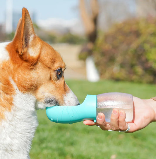 PetSip: Compact Outdoor Water Dispenser (300ml)