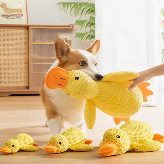 DuckieBuddy: Soft Plush Comfort Toy for Pets