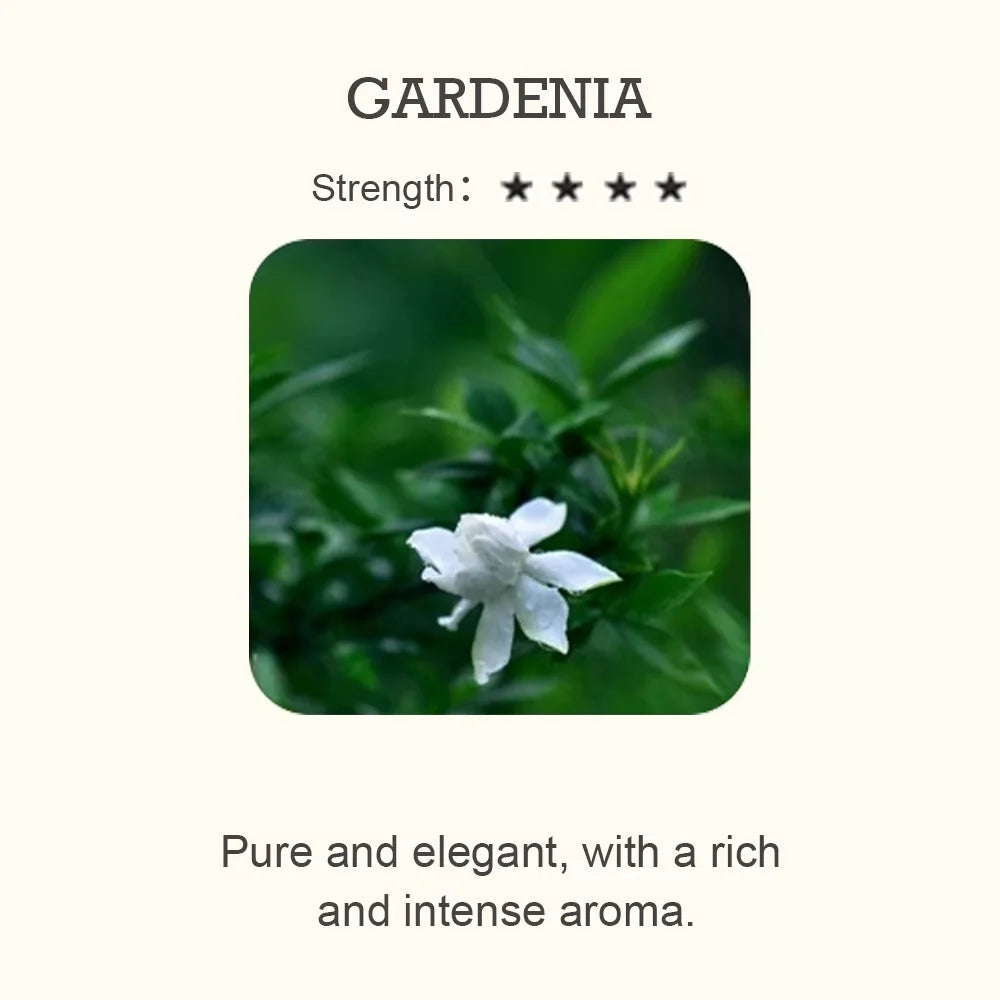 Essential Oil Blend for Diffuser – Natural Aromatherapy Fragrance (500ml)