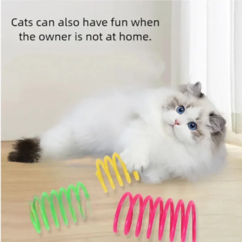 SpringyJump: Colorful Interactive Cat Springs