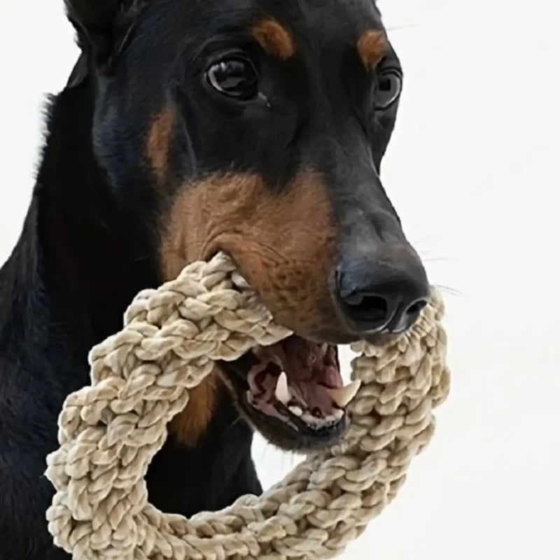 ToughTug: Durable Rope Toy for Large Breeds