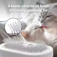 Dog Comb Pet Hair Removal Brush Cats and Dogs Special Comb Beauty Massage Self-cleaning Needle Comb Pet Supplies