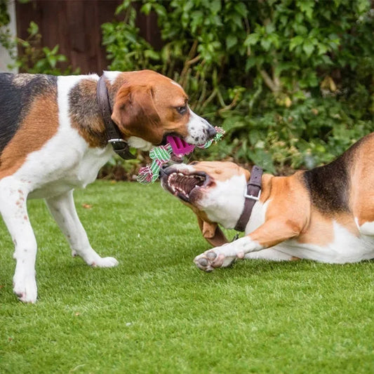 PuppyPlay: Interactive Knot-Design Chew Rope