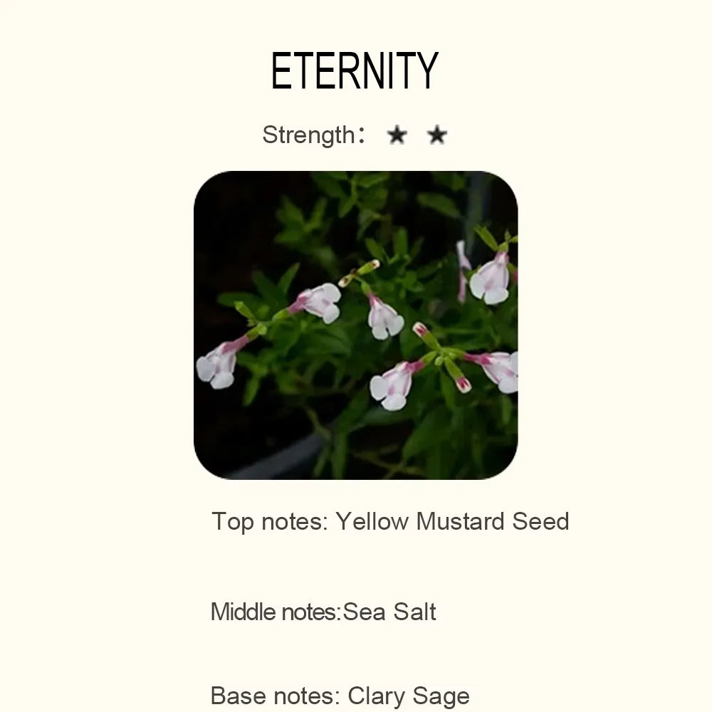 Essential Oil Blend for Diffuser – Natural Aromatherapy Fragrance (500ml)