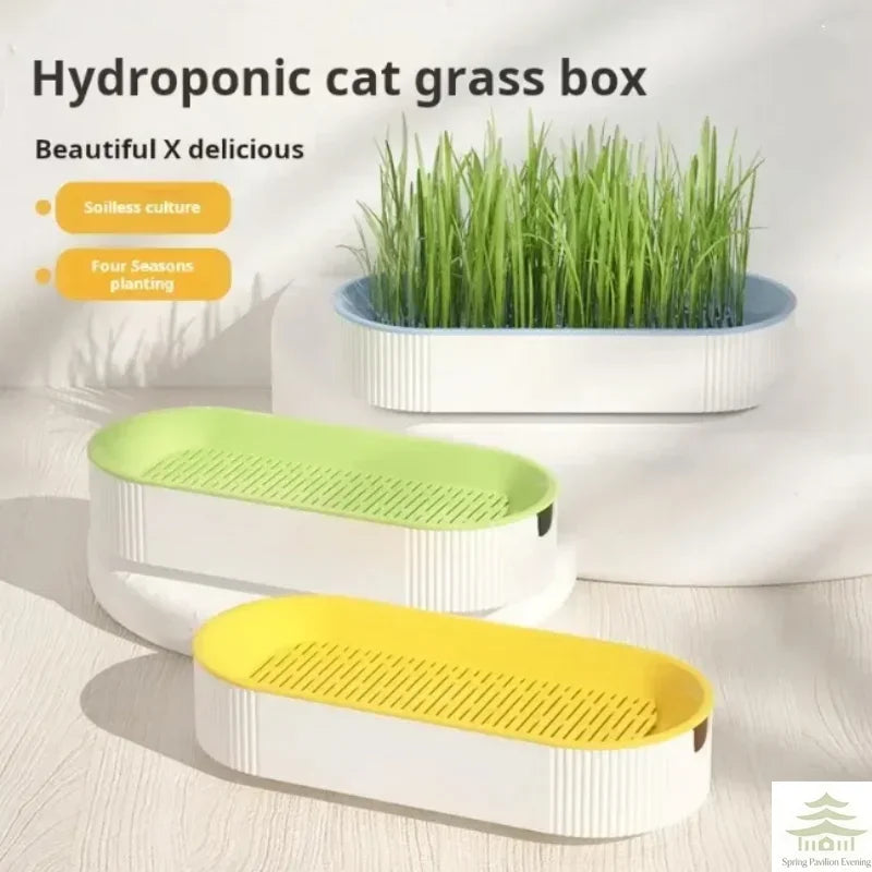 SteadyFeed: Durable Double Bowl for Food & Water
