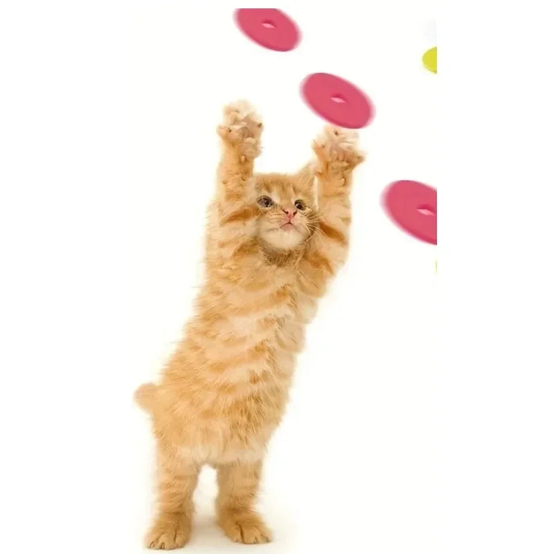 TurnipShooter: Interactive Cat & Dog Disc Launcher