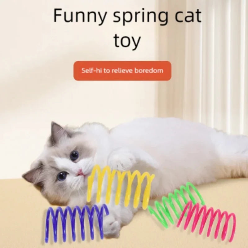 SpringyJump: Colorful Interactive Cat Springs
