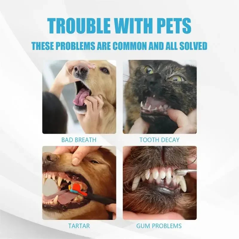 FreshSmile: Edible Dental Care Toothpaste