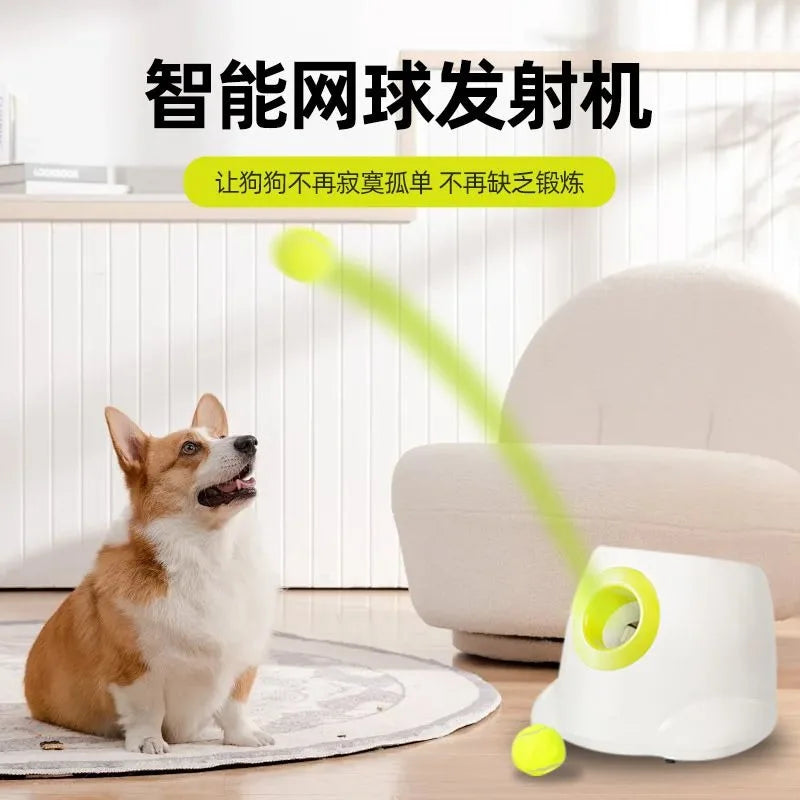 ActiveDog: Interactive Ball Launcher & Treat Dispenser