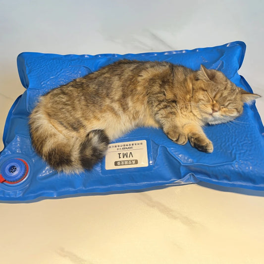 VetSecure: Professional Vacuum Positioning Pad