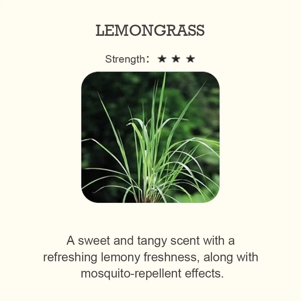 Essential Oil Blend for Diffuser – Natural Aromatherapy Fragrance (500ml)