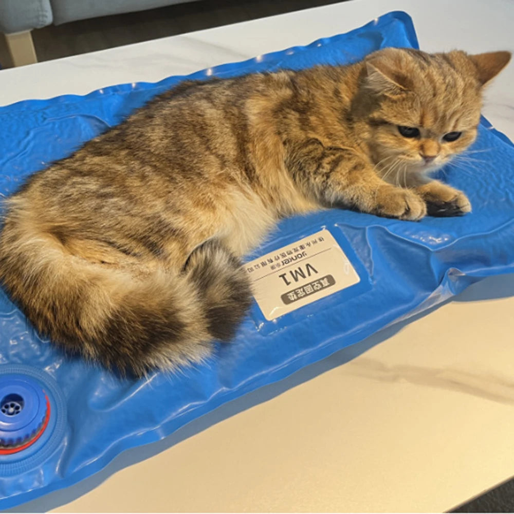 VetSecure: Professional Vacuum Positioning Pad