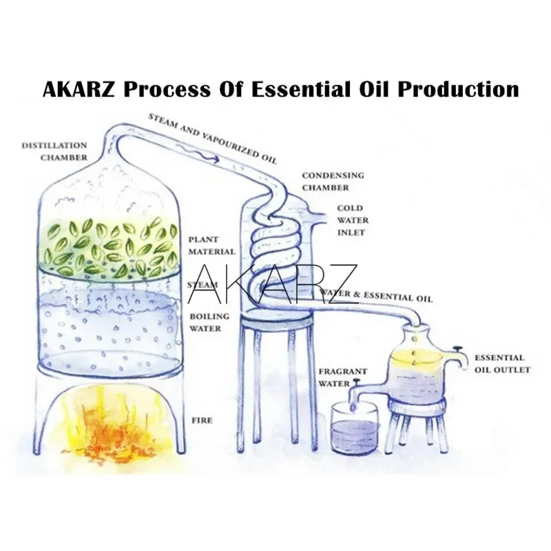 AKARZ Ylang-Ylang Essential Oil – Aromatherapy & Skin Care Oil