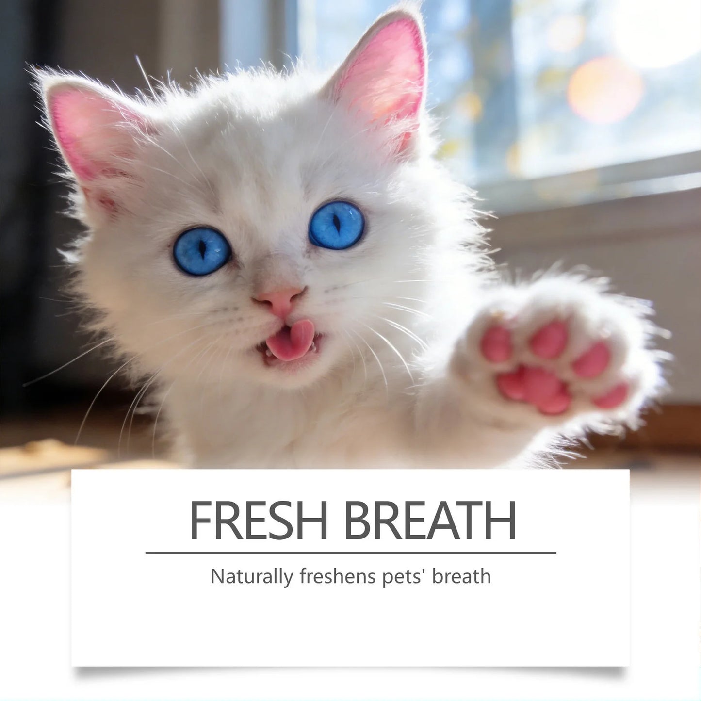 OralGuard: Plaque Control & Fresh Breath Spray