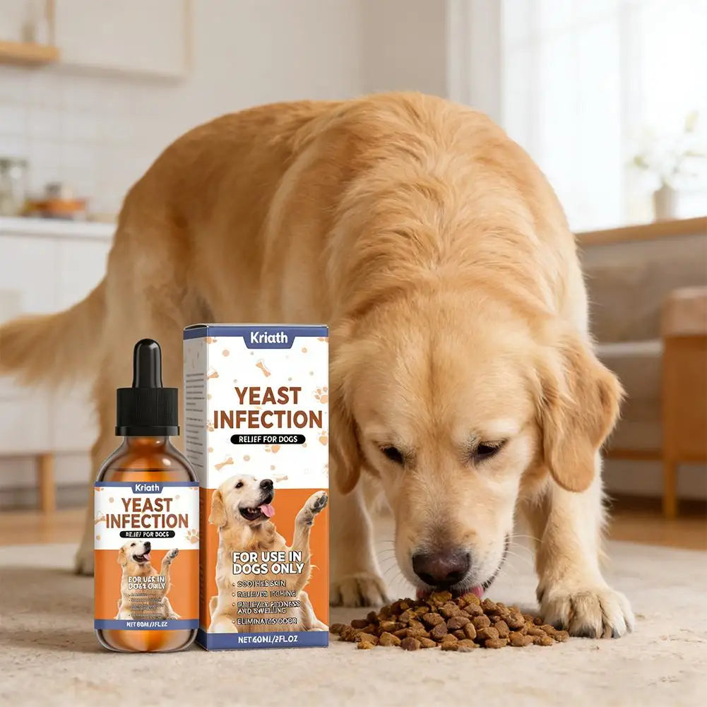 DermaGlow: Herbal Supplement Drops for Skin & Coat