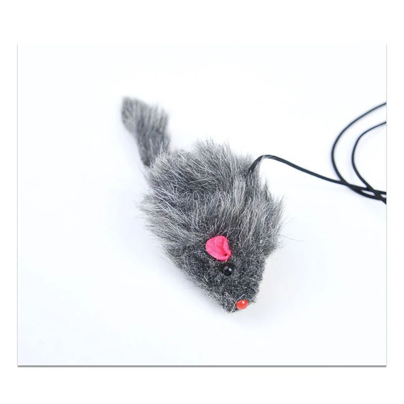 ActiveClaw: Auto-Play Door Hanger for Cats
