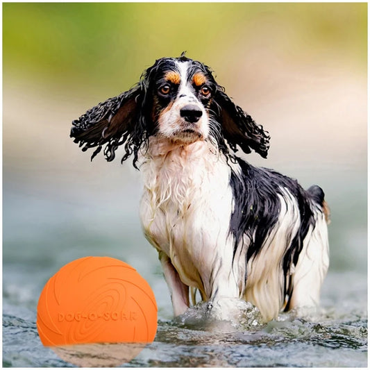FlyFlex: Durable Silicone Flying Disc for Pets