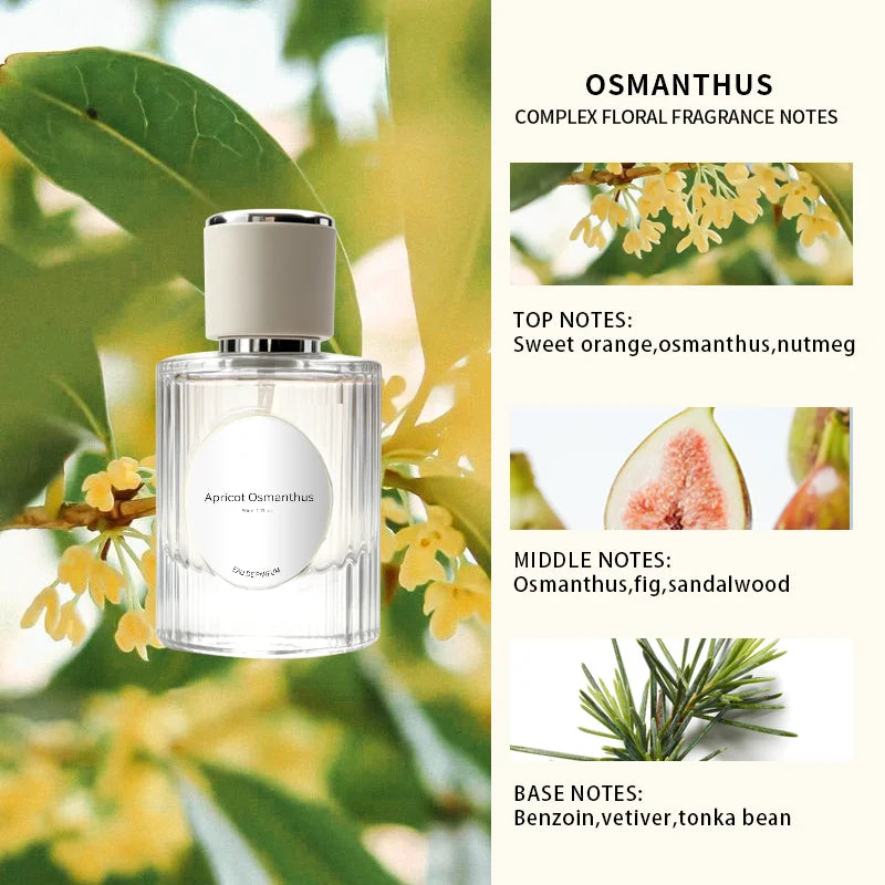 12 Scents Summer Floral Perfume Collection – Long Lasting Women's Fragrance