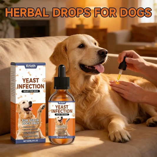 DermaGlow: Herbal Supplement Drops for Skin & Coat